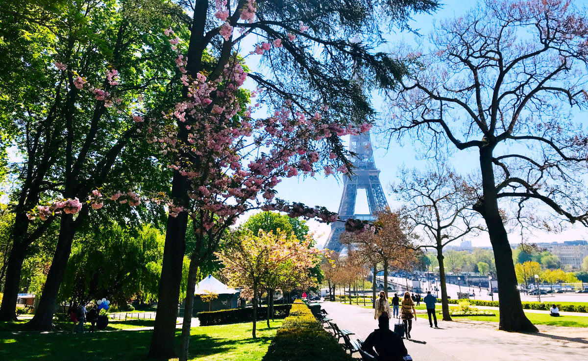 Snippets of France - by Ainsi Hardi